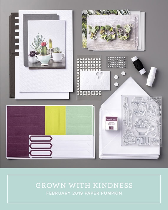 Paper Pumpkin February 2019 kit, Grown with Kindness, makes 9 cards, Stampin' Up! #stampcandy
