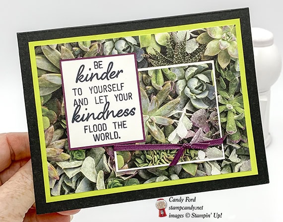 Stampin' Up! February 2019 Paper Pumpkin kit, Grown with Kindness, alternate projects made by Candy Ford #stampcandy