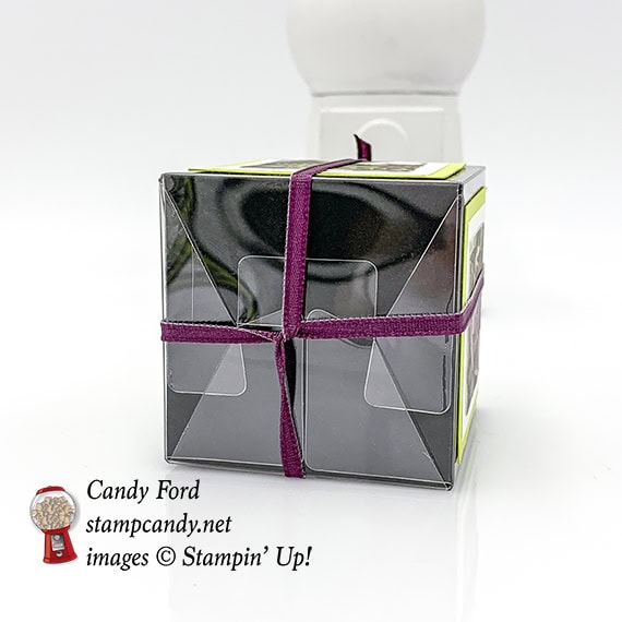 Stampin' Up! February 2019 Paper Pumpkin kit, Grown with Kindness, alternate projects made by Candy Ford #stampcandy