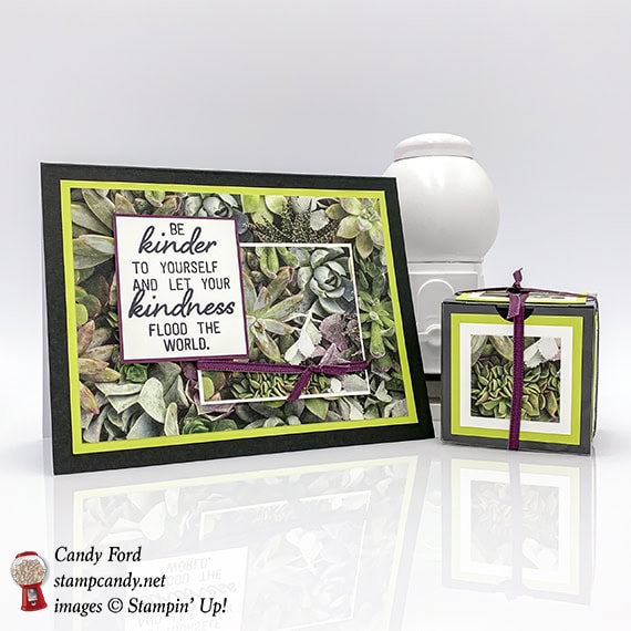 Stampin' Up! February 2019 Paper Pumpkin kit, Grown with Kindness, alternate projects made by Candy Ford #stampcandy