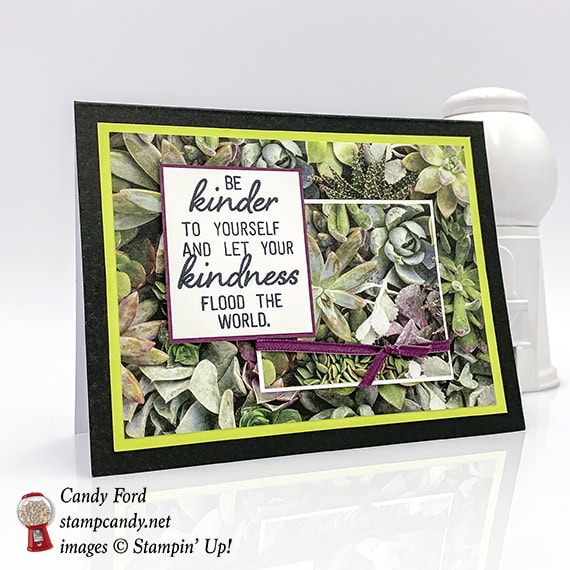 Stampin' Up! February 2019 Paper Pumpkin kit, Grown with Kindness, alternate projects made by Candy Ford #stampcandy