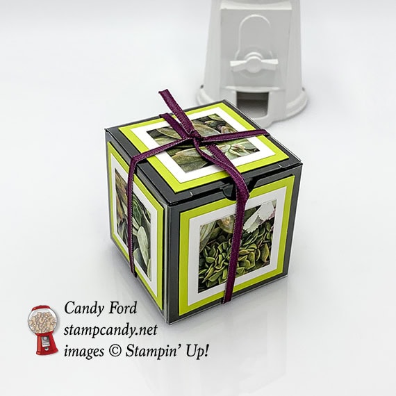 Stampin' Up! February 2019 Paper Pumpkin kit, Grown with Kindness, alternate projects made by Candy Ford #stampcandy