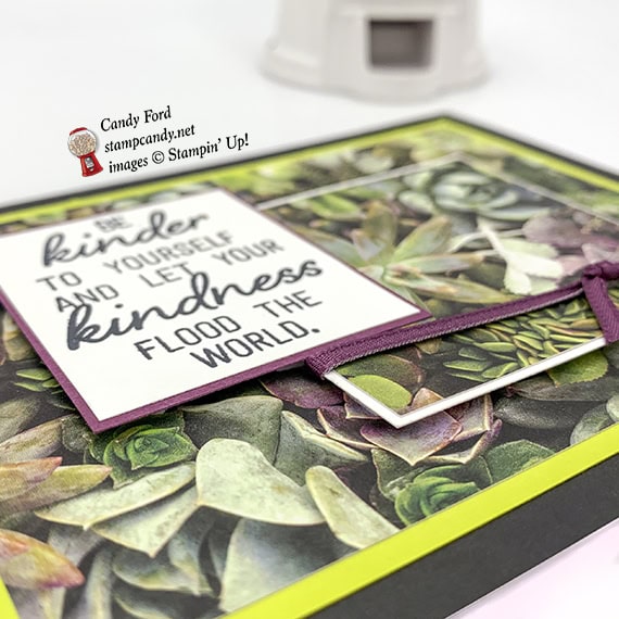 Stampin' Up! February 2019 Paper Pumpkin kit, Grown with Kindness, alternate projects made by Candy Ford #stampcandy