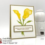 Lasting Lily stamp set, Lily Framelits Dies, Stampin' Up! Sale-a-bration Coordination #stampcandy