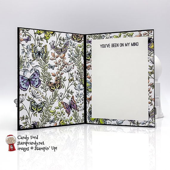 Butterfly Gala stamp set, Butterfly Dup Punch, Botanical Butterfly Designer Series Paper from Stampin' Up! Card made by Candy Ford #stampcandy
