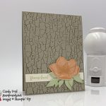 You are loved card made with the Beautiful Promenade and Crackle Paint stamp sets from Stampin' Up! #stampcandy