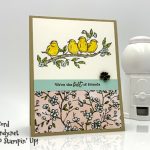 Sneak Peek Free As A Bird from the 2019-2020 Annual Catalog Best Friends handmade card by Candy Ford of Stamp Candy