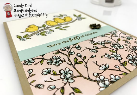 Sneak Peek Free As A Bird from the 2019-2020 Annual Catalog Best Friends handmade card by Candy Ford of Stamp Candy