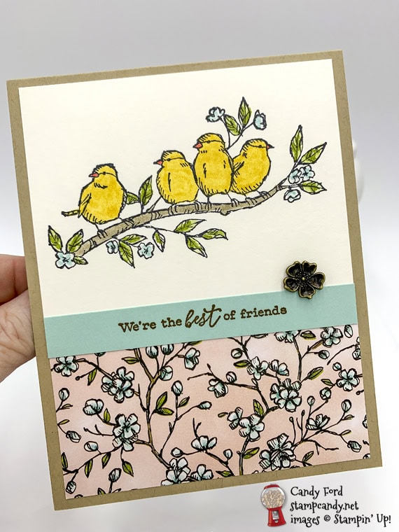 Sneak Peek Free As A Bird from the 2019-2020 Annual Catalog Best Friends handmade card by Candy Ford of Stamp Candy