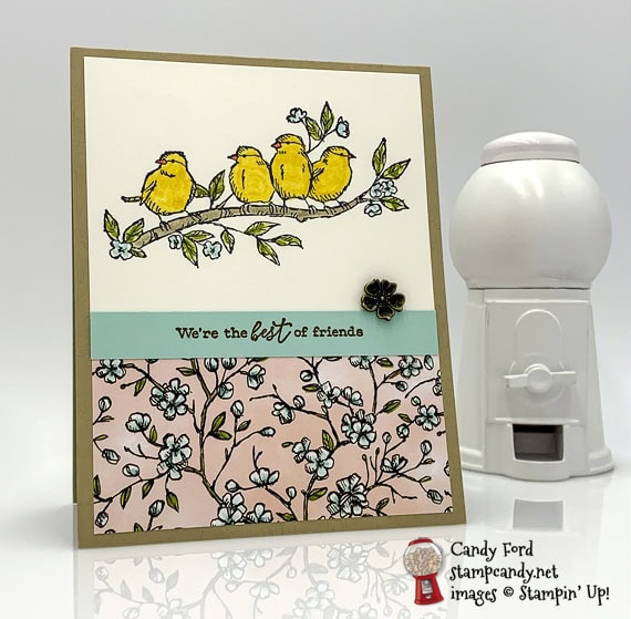 Sneak Peek Free As A Bird from the 2019-2020 Annual Catalog Best Friends handmade card by Candy Ford of Stamp Candy