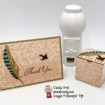 Paper Pumpkin Pop Up PPPU blog hop May 2019, Candy Ford #stampcandy