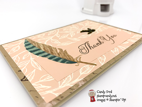 Paper Pumpkin Pop Up PPPU blog hop May 2019, Candy Ford #stampcandy
