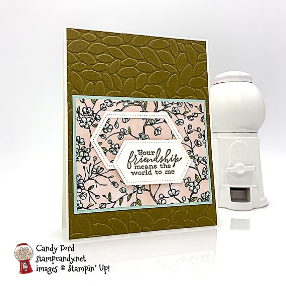 Stampin' Up! Bird Ballad bundle with Layered Leaves Embossing Folder handmade card by Candy Ford at Stamp Candy