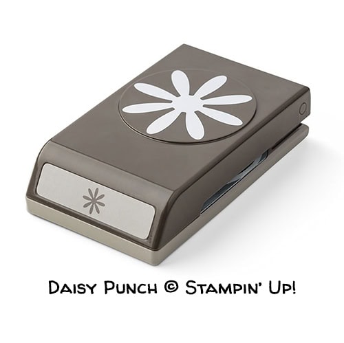 Daisy Punch © Stampin' Up!