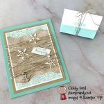 A Little Smile June 2019 Paper Pumpkin Kit from Stampin' Up!, alternative projects for the A Paper Pumpkin Thing blog hop, made by Candy Ford #stampcandy