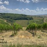 2019 Incentive Trip - Tuscany #stampcandy