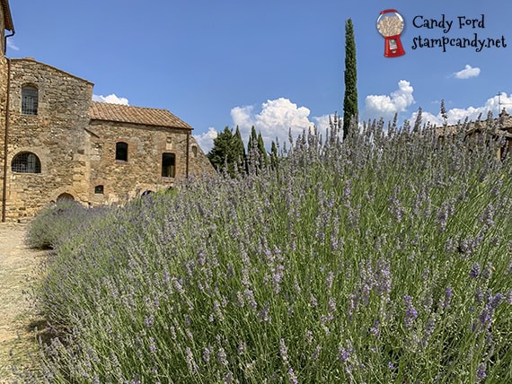 2019 Incentive Trip - Tuscany #stampcandy
