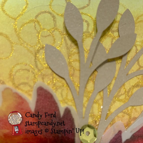 PPPBH 08-2019 Gift of Fall Paper Pumpkin card and bag made by Candy Ford #stampcandy