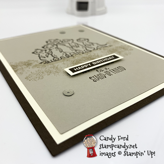 The Gangs' All Meer stamp set, Stampin' Up!, birthday card made by Candy Ford #stampcandy