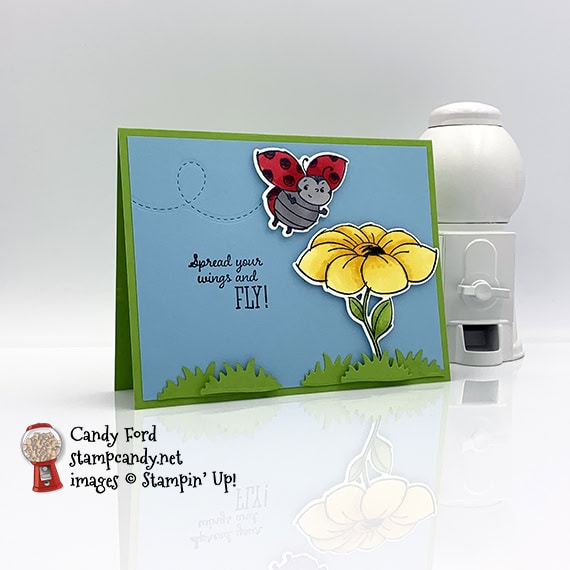 Stampin' Up! Little Ladybug card by Candy Ford #stampcandy