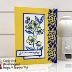 Stampin' Up! Ornate Thanks stamp set, Ornate Borders Dies, Ornate Garden Suite, Candy Ford #stampcandy