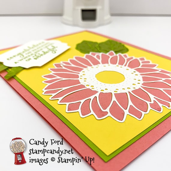 Stampin' Up! Celebrate Sunflowers stamp set bundle Sunflowers Dies congratulations card Candy Ford #stampcandy
