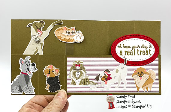 Pampered Pets stamp set, Playful Pets DSP paper, Pet Dies, wiper card, Candy Ford #stampcandy #handmadecards #stampinup