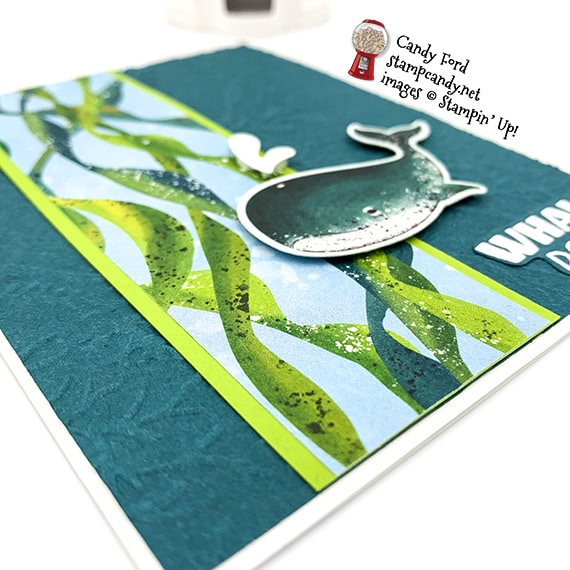 Whale Done stamp set, Whale Builder Punch, Whale of a Time DSP, Seabed EF, Stampin' Up, Candy Ford #stampcandy