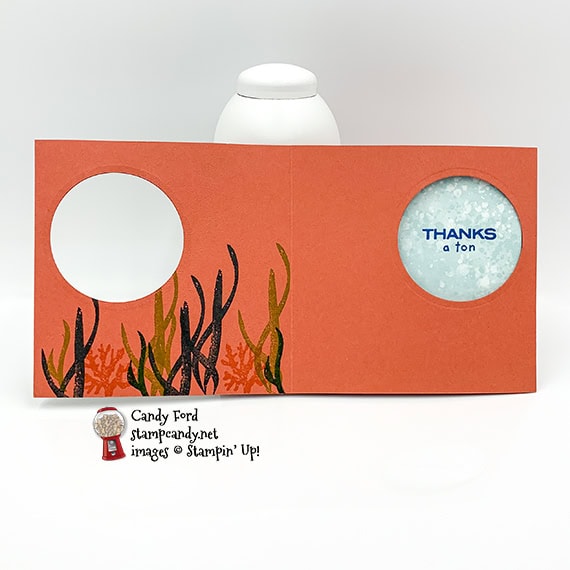 Whale of a Time peekaboo card, Whale Done stamp set, Whale Builder Punch, Candy Ford #stampcandy #handmadecards #stampinup