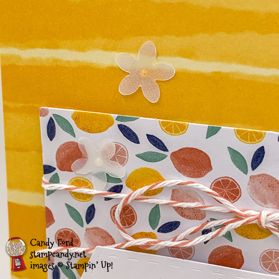 Simply Citrus All Inclusive Card Kit handmade cards by Candy Ford of Stamp Candy