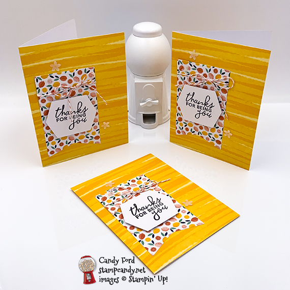 Simply Citrus All Inclusive Card Kit handmade cards by Candy Ford of Stamp Candy