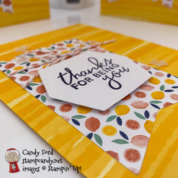 Simply Citrus All Inclusive Card Kit handmade cards by Candy Ford of Stamp Candy