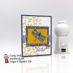 Dragonfly Garden Bundle, Dandy Garden Designer Series Paper thank you card #stampcandy