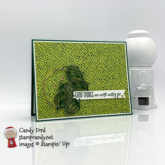 Enjoy the Moment stamp set, Banners Pick a Punch, Forever Greenery Designer Series Paper #stampcandy