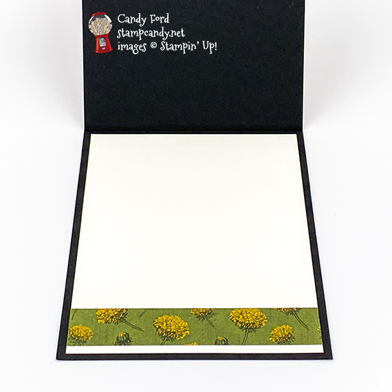 Dandy Garden Dragonfly Garden Joseph's Coat technique card #stampcandy