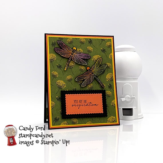 Dandy Garden Dragonfly Garden Joseph's Coat technique card #stampcandy