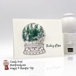 In the Pines Thinking of You Shaker Dome card #stampcandy
