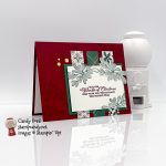 Wishes & Wonder mystery Christmas card #stampcandy