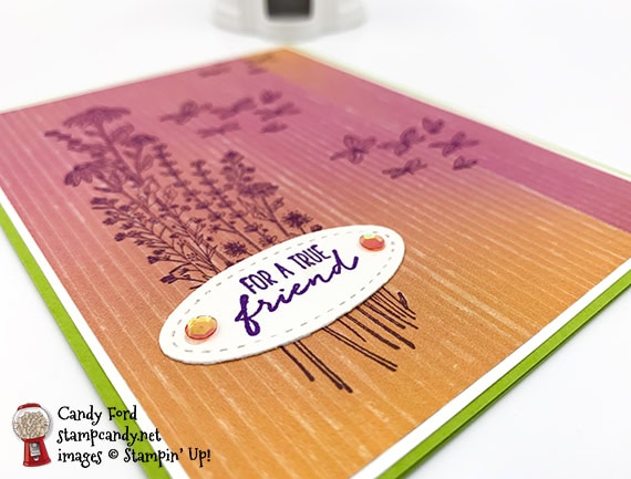 Dragonfly Garden card for a true friend #stampcandy