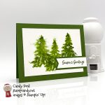 In the Pines watercolor card #stampcandy