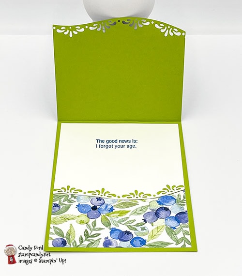 Approaching Perfection Berry Delightful birthday card #stampcandy #CHBH