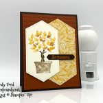 Beauty and Joy stamp set from Stampin' Up! Card by Candy Ford #stampcandy #stampinup